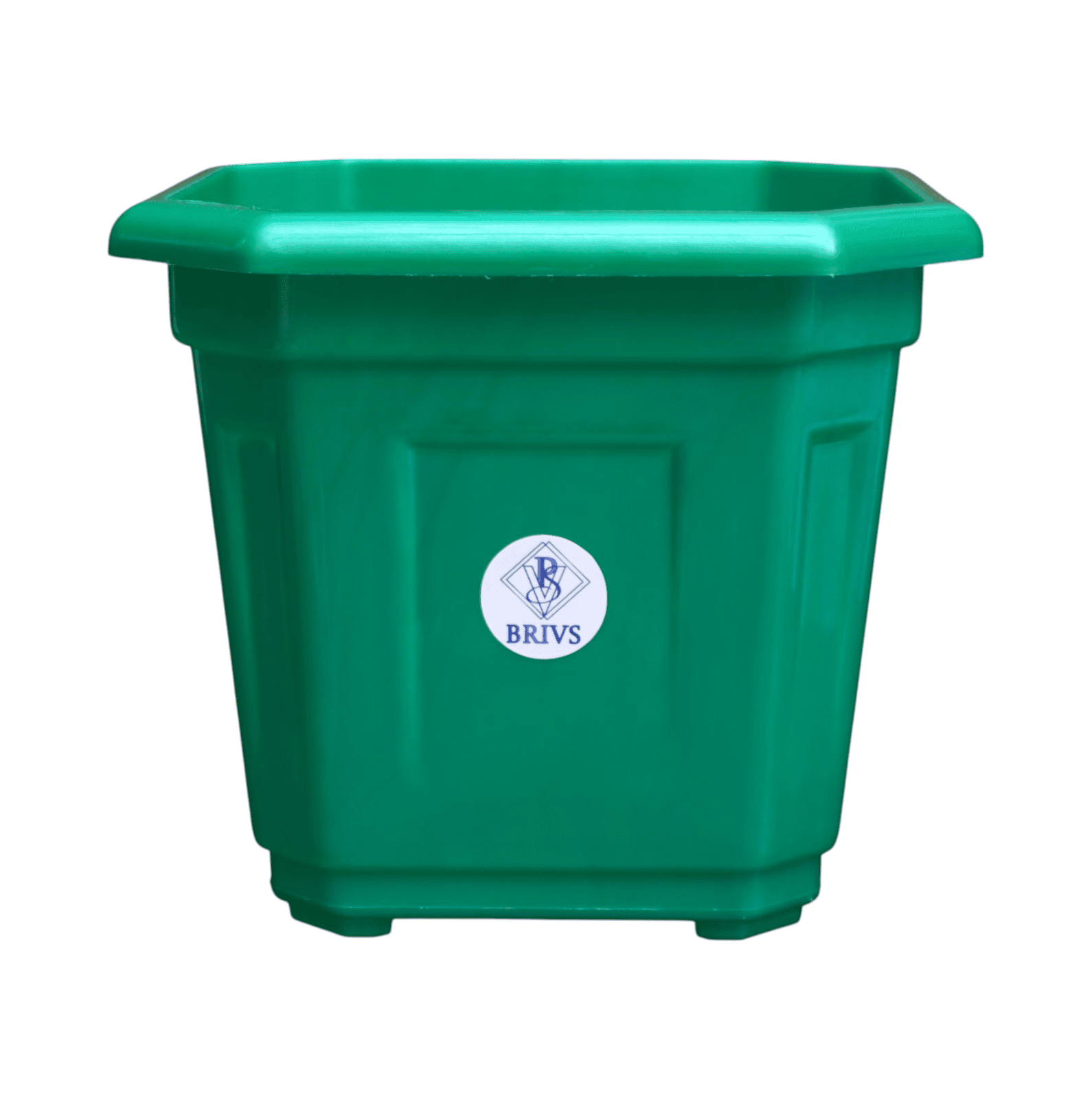 Section Image